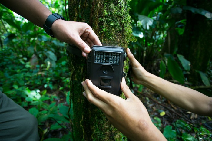 Peran Teknologi Dalam Mendukung Konservasi Ayam Hutan