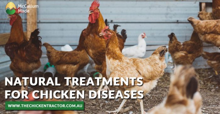 Treating diseases thepioneerchicks